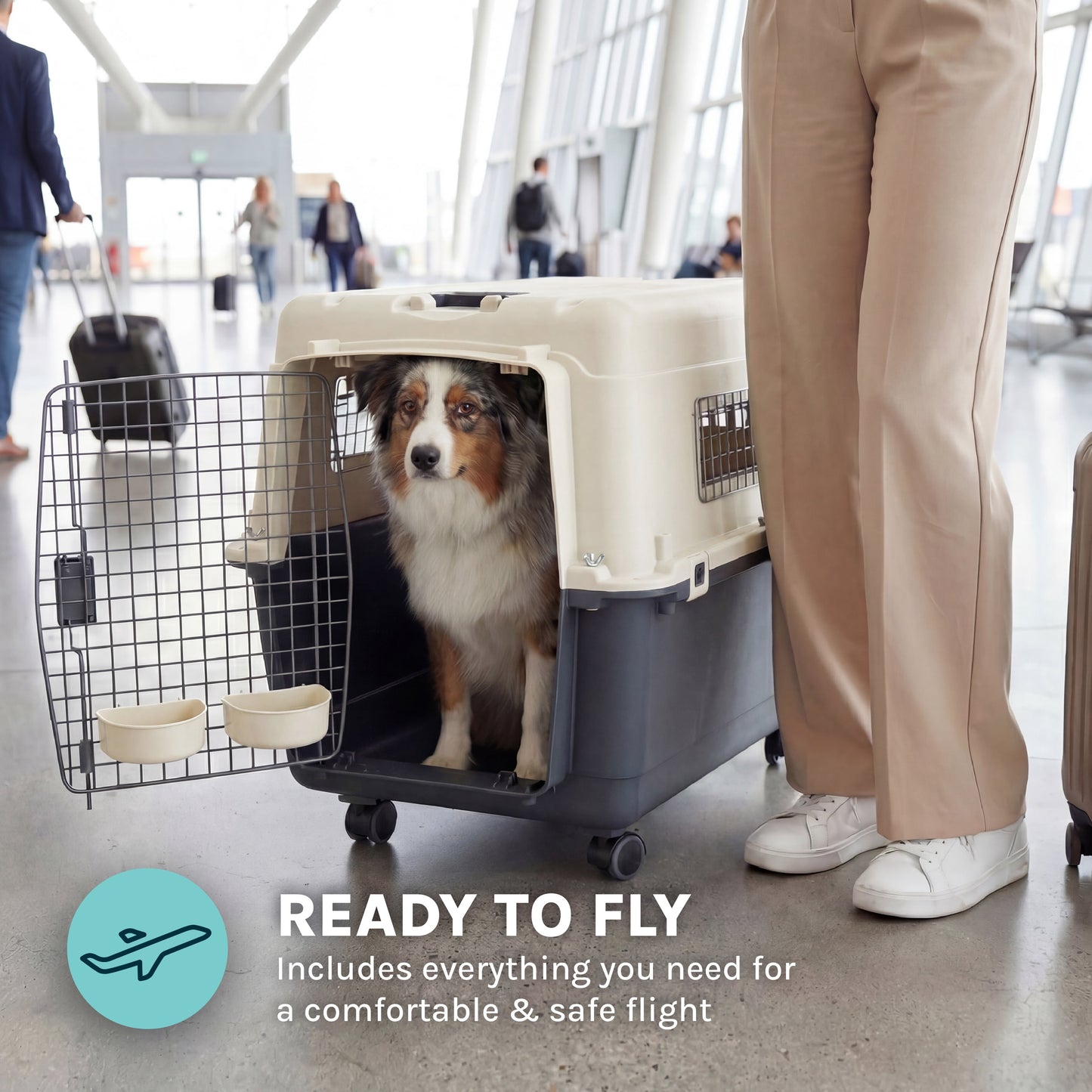 Large Airline-Approved Plastic Dog Kennel with Wheels