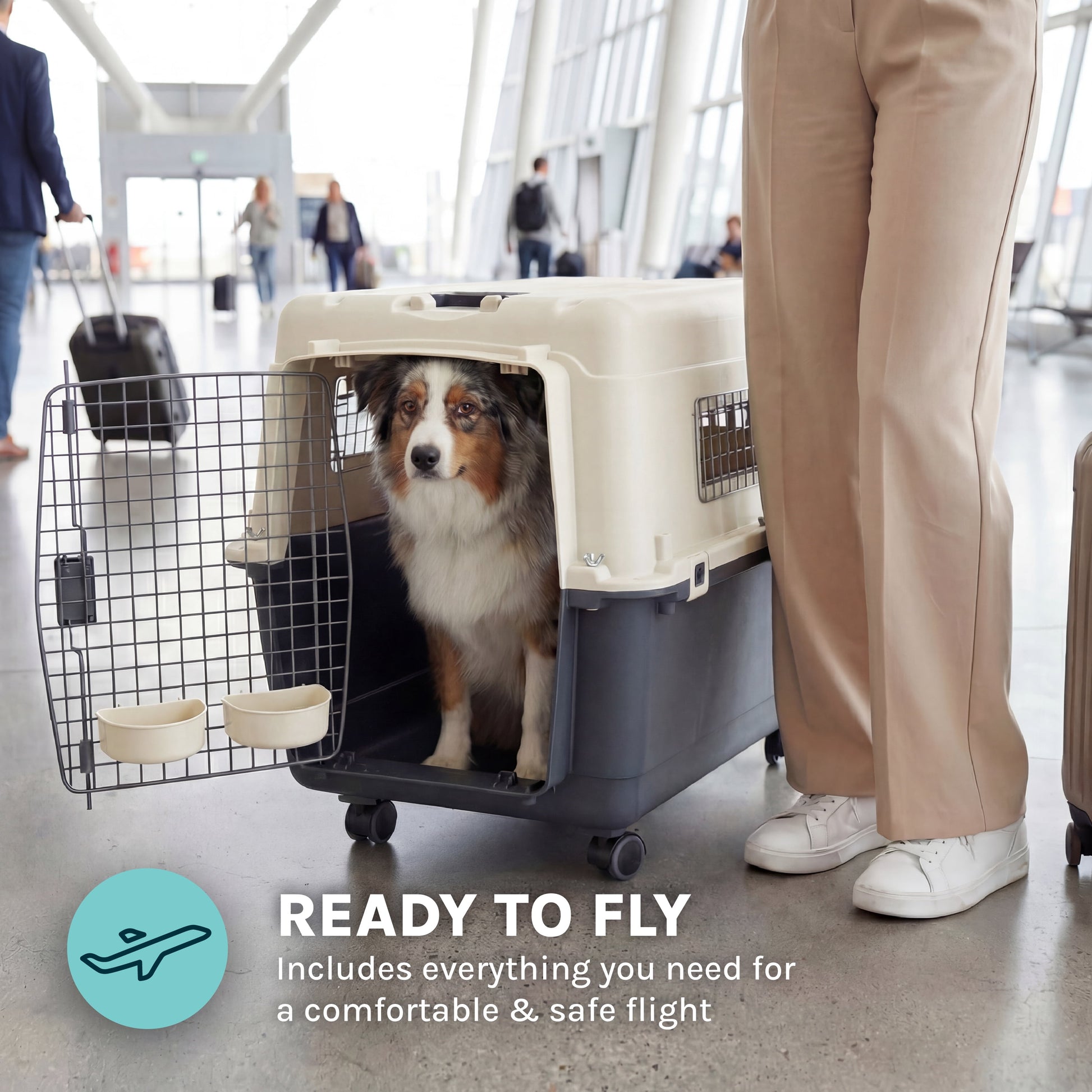 Large Airline-Approved Plastic Dog Kennel with Wheels