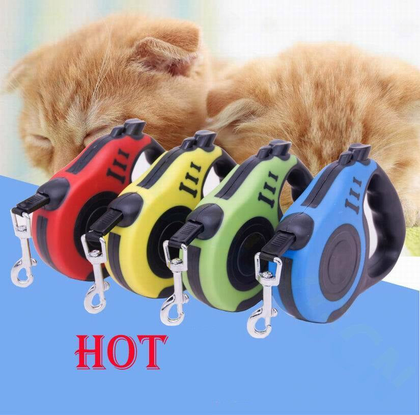 16.5FT Automatic Retractable Dog Leash with Pet Collar - Hands-Free Walking Solution, Free Shipping within the US