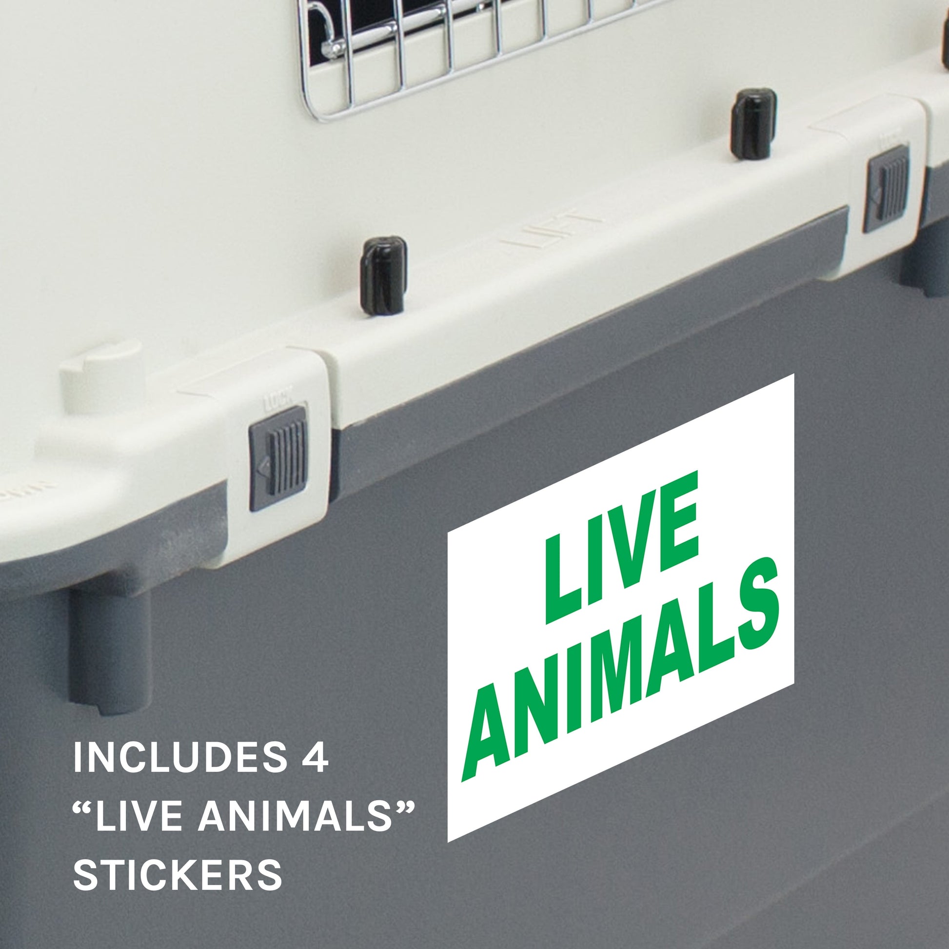 Large Airline-Approved Plastic Dog Kennel with Wheels