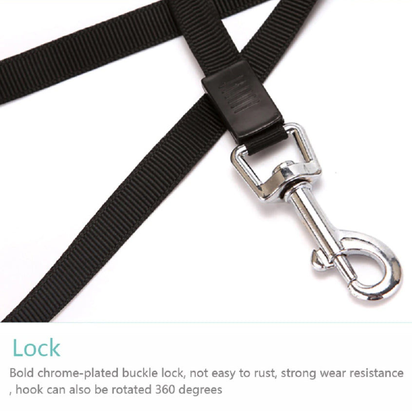 16.5FT Automatic Retractable Dog Leash with Pet Collar - Hands-Free Walking Solution, Free Shipping within the US