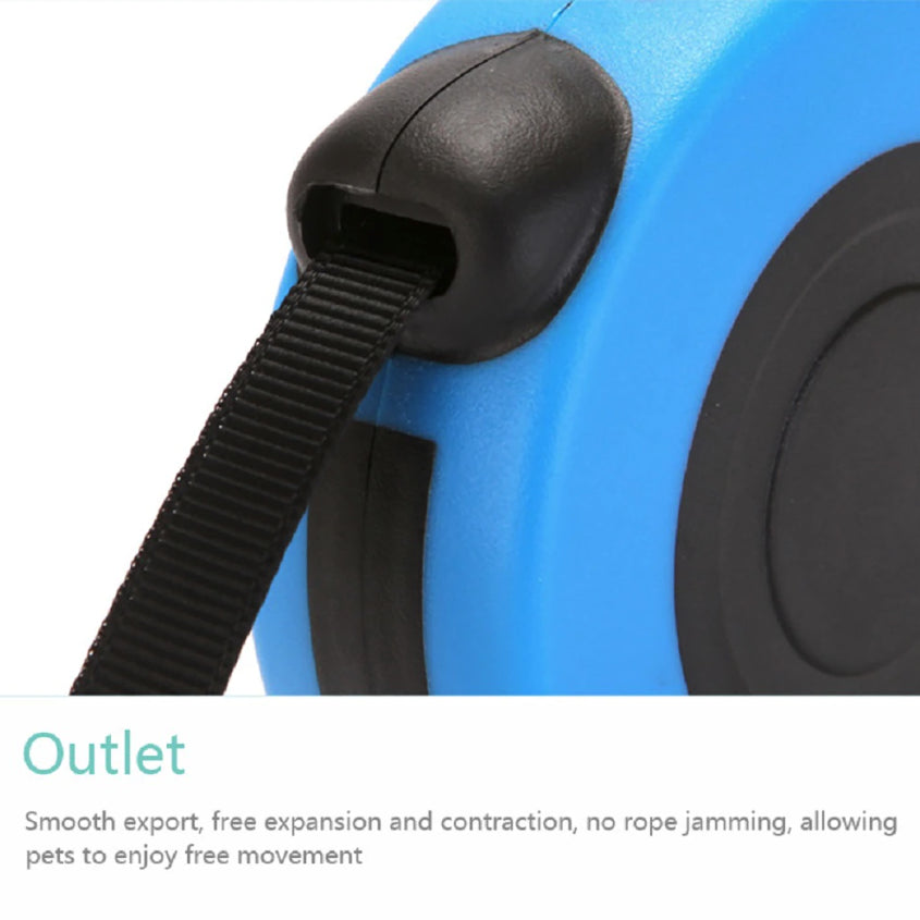 16.5FT Automatic Retractable Dog Leash with Pet Collar - Hands-Free Walking Solution, Free Shipping within the US
