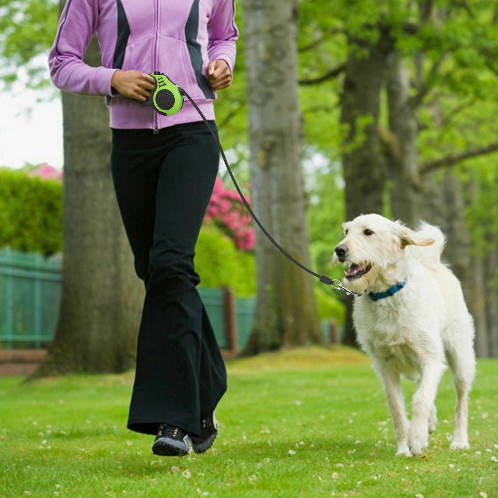16.5FT Automatic Retractable Dog Leash with Pet Collar - Hands-Free Walking Solution, Free Shipping within the US