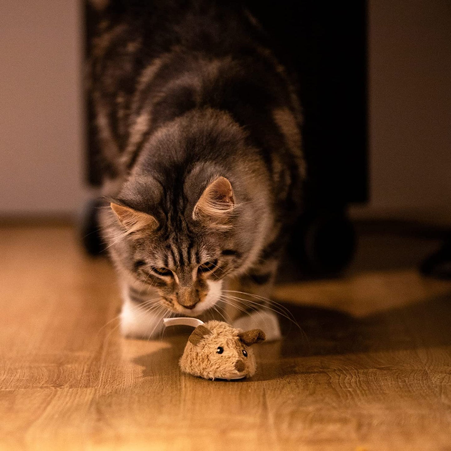 Interactive Automatic Mouse Toy for Cats with Realistic Squeaky Sound - Indoor Self-Play & Exercise (Brown Ear)