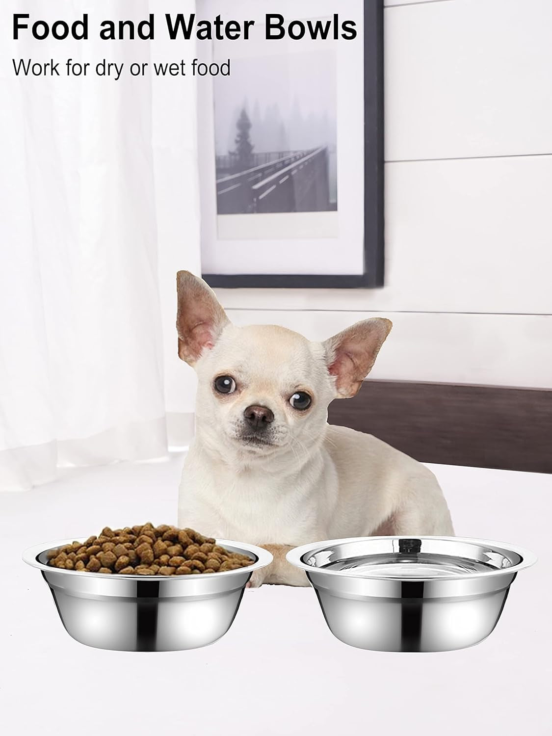 Stainless Steel Small Dog Food Bowls - Set of 2 (5.4 in Diameter, 1.3 Cup Capacity) for Raised Stations
