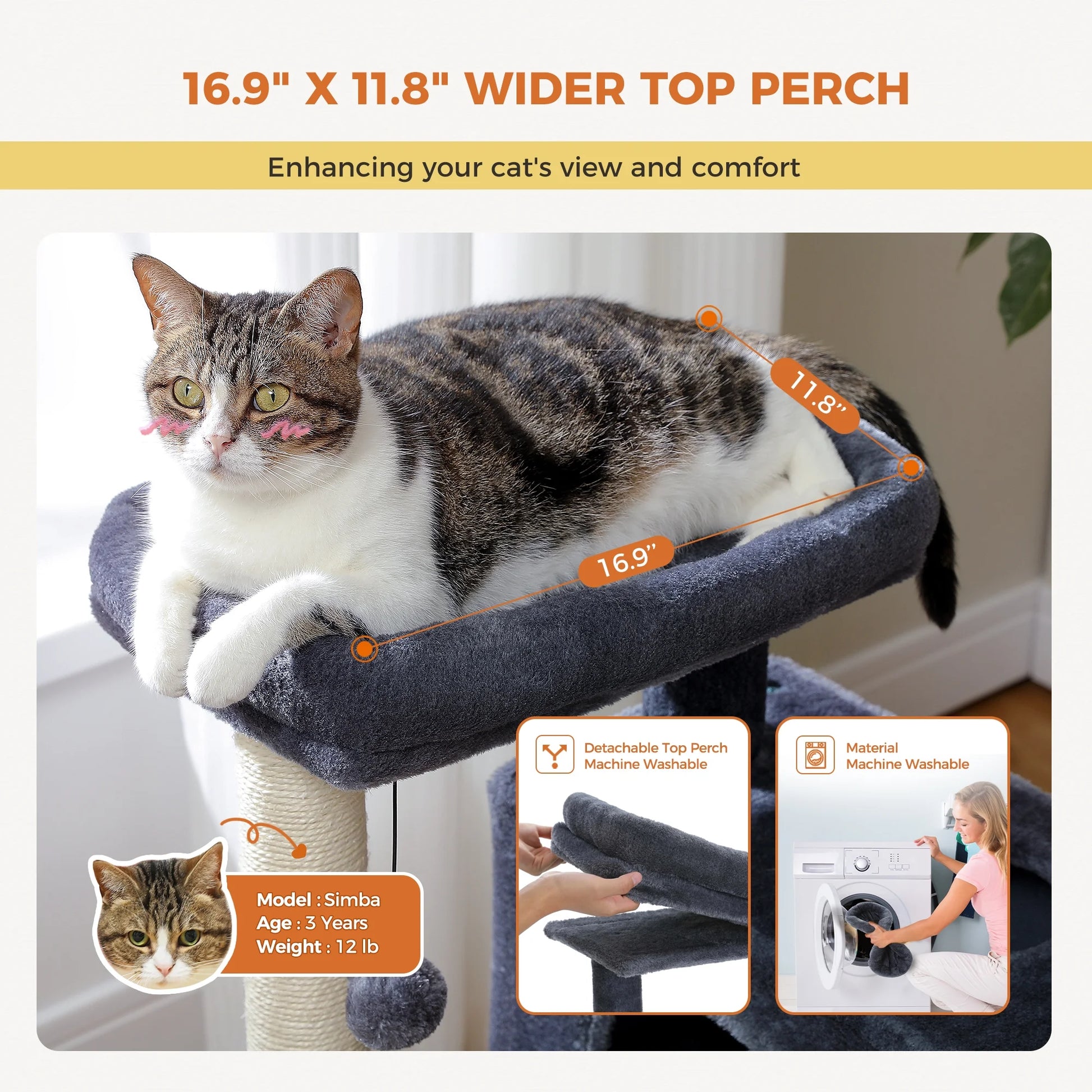 31.5-Inch Contemporary Cat Tree Tower with Two Spacious Condos for Kittens and Medium-Sized Cats in Dark Gray
